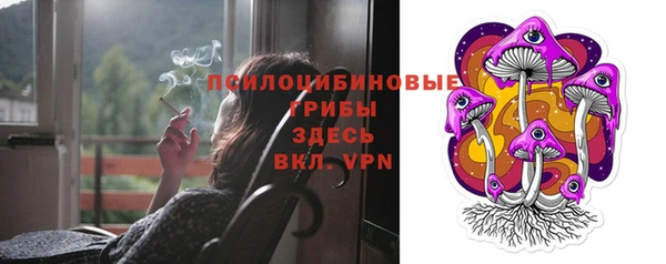 первитин Новодвинск