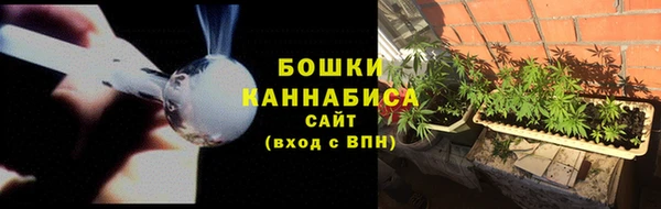 первитин Новодвинск