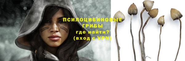 героин Няндома