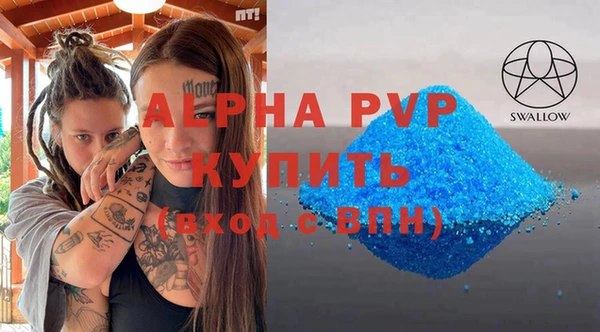 хмурый Новозыбков