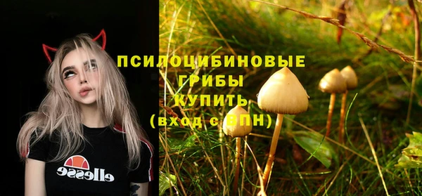 первитин Новодвинск