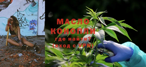 первитин Новодвинск