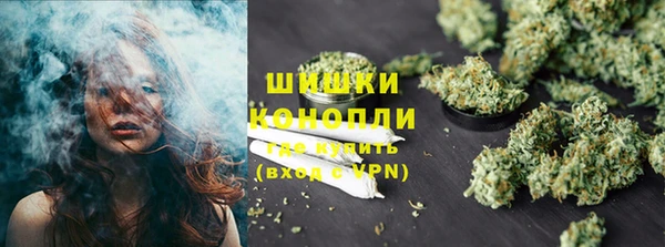 хмурый Новозыбков