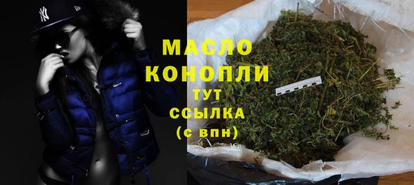 хмурый Новозыбков