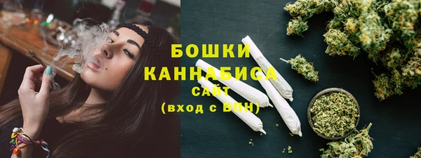 первитин Новодвинск