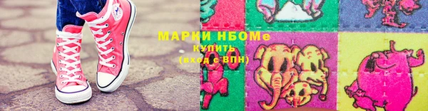 хмурый Новозыбков