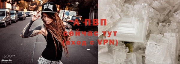 хмурый Новозыбков