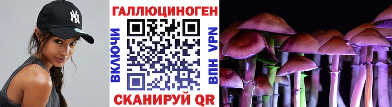 KRAKEN вход  сколько стоит  Бодайбо  Псилоцибиновые грибы GOLDEN TEACHER 
